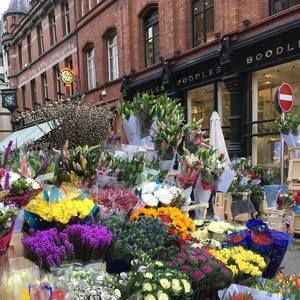 Meet your Posher, Suzy